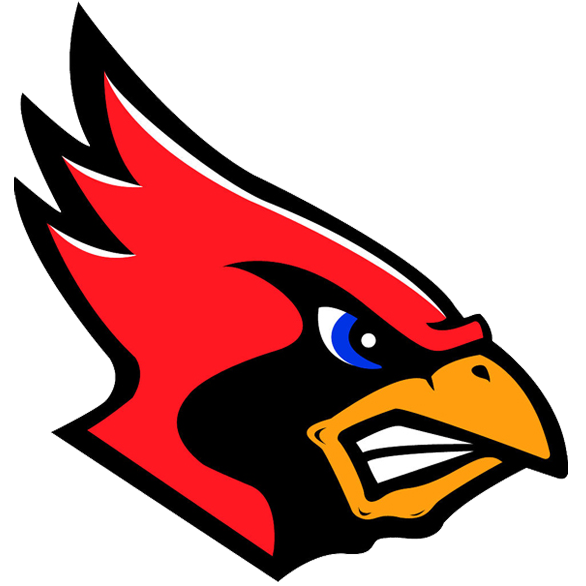 Pocono Mountain Youth Wrestling (East) Logo